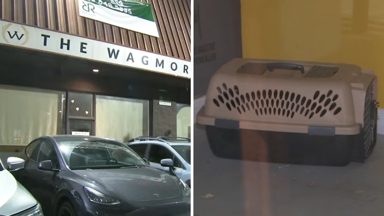 Lawsuit accuses Los Angeles animal rescue of running puppy laundering operation
— ABC7 Chicago (WLS-TV)