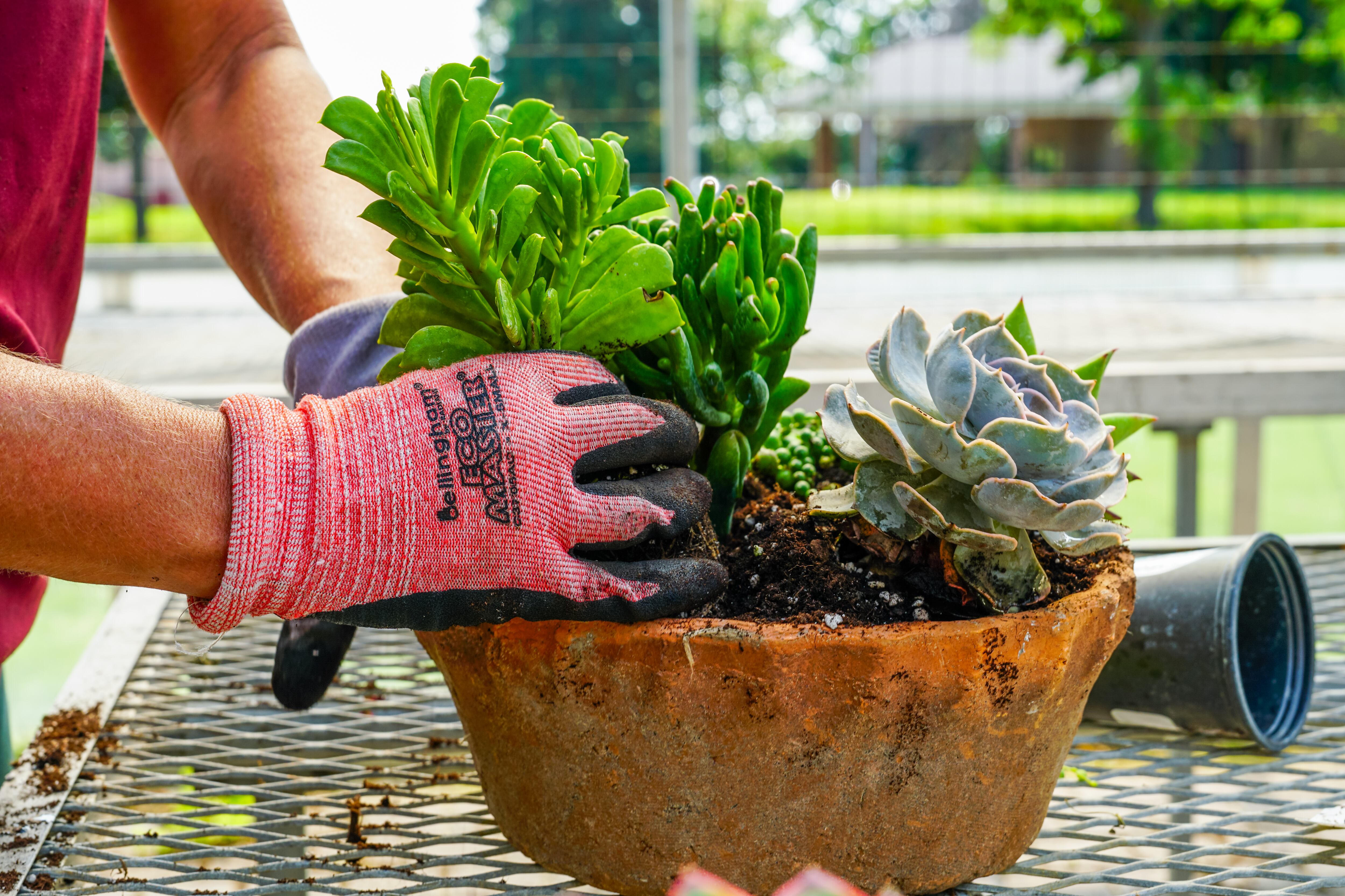 Heinz Brothers Greenhouse, Aquascape Construction ponds win ‘Made in St. Charles’ awards — Oak Brook Government news